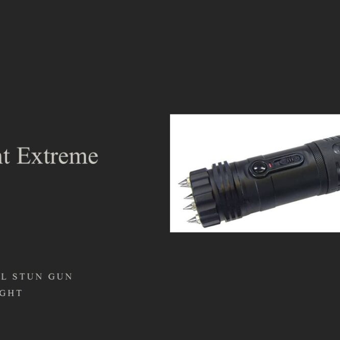 Zap Light Extreme Stun Gun Flashlight