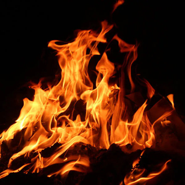 fire retardent cables webp